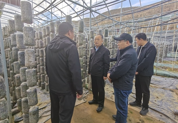 甘肃工程咨询集团赴卓尼县开展乡村振兴帮…