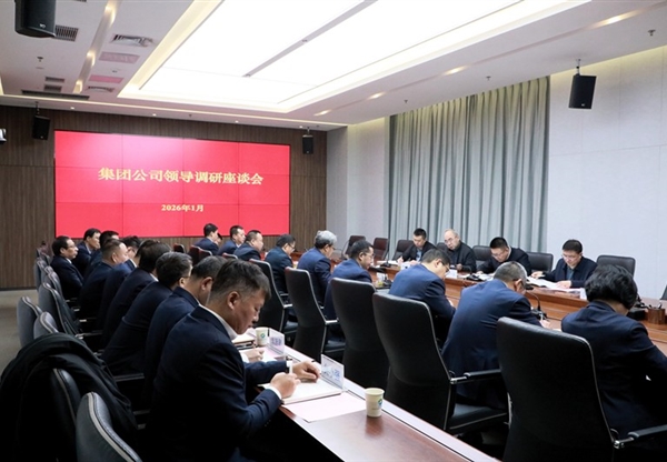 陈一夫一行到水电设计院调研